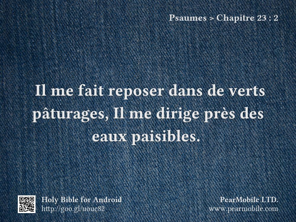 Psaumes, Chapitre 23:2